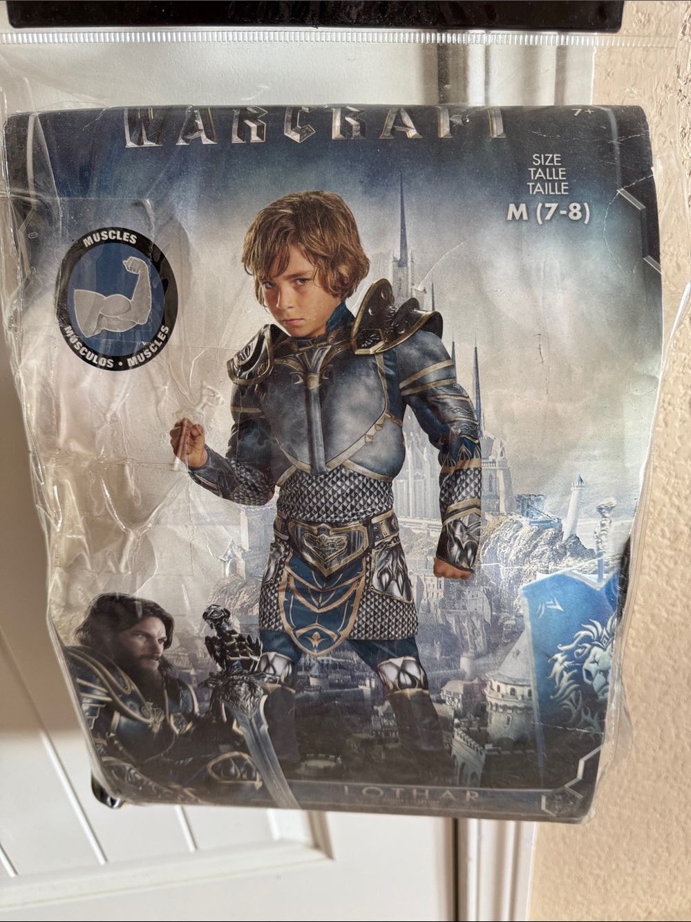 Blizzard licensed Blue and Gold Warrior Lothar Kids Costume